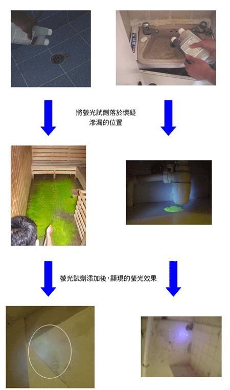 螢光試劑測試